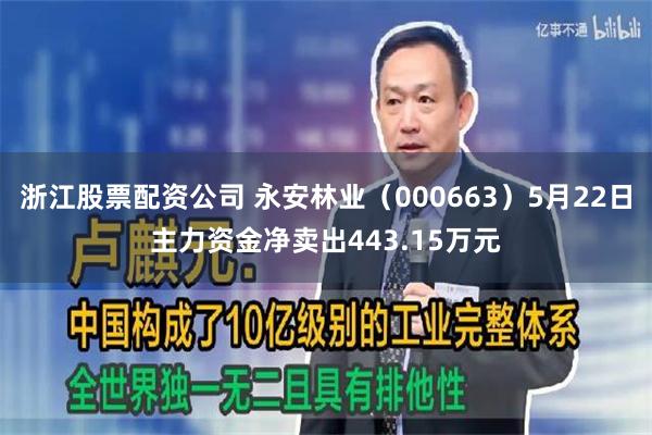 浙江股票配资公司 永安林业（000663）5月22日主力资金净卖出443.15万元
