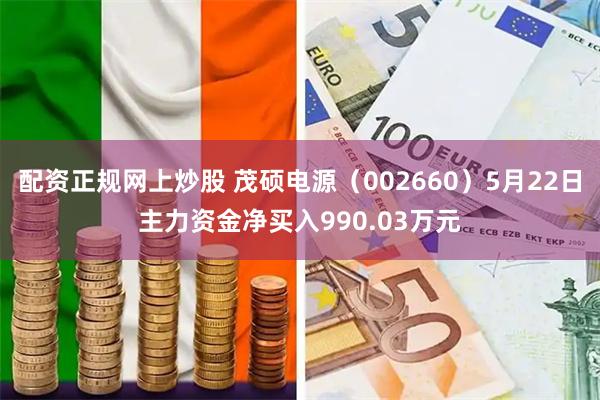 配资正规网上炒股 茂硕电源（002660）5月22日主力资金净买入990.03万元