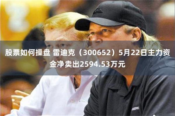 股票如何操盘 雷迪克（300652）5月22日主力资金净卖出2594.53万元