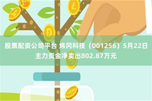 股票配资公司平台 炜冈科技（001256）5月22日主力资金净卖出802.87万元