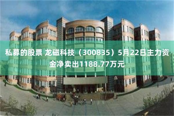 私募的股票 龙磁科技（300835）5月22日主力资金净卖出1188.77万元