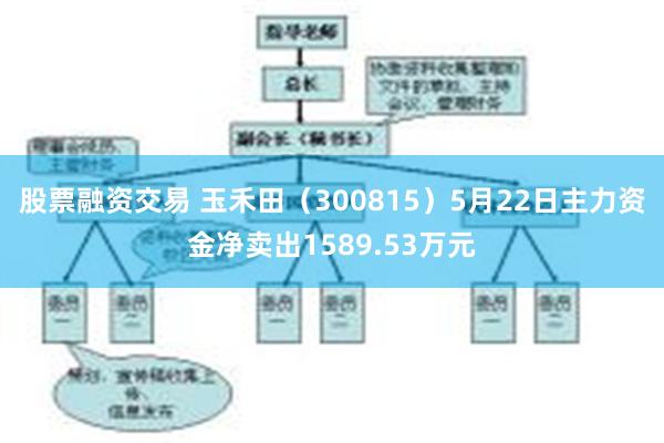 股票融资交易 玉禾田（300815）5月22日主力资金净卖出1589.53万元