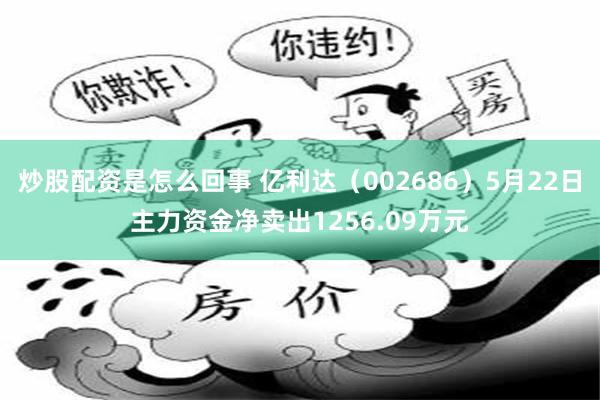 炒股配资是怎么回事 亿利达（002686）5月22日主力资金净卖出1256.09万元
