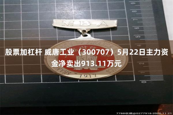 股票加杠杆 威唐工业（300707）5月22日主力资金净卖出913.11万元