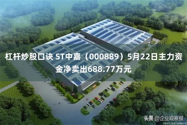 杠杆炒股口诀 ST中嘉（000889）5月22日主力资金净卖出688.77万元