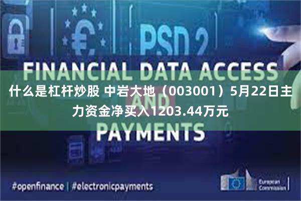 什么是杠杆炒股 中岩大地（003001）5月22日主力资金净买入1203.44万元