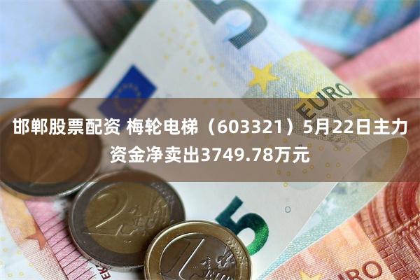邯郸股票配资 梅轮电梯（603321）5月22日主力资金净卖出3749.78万元