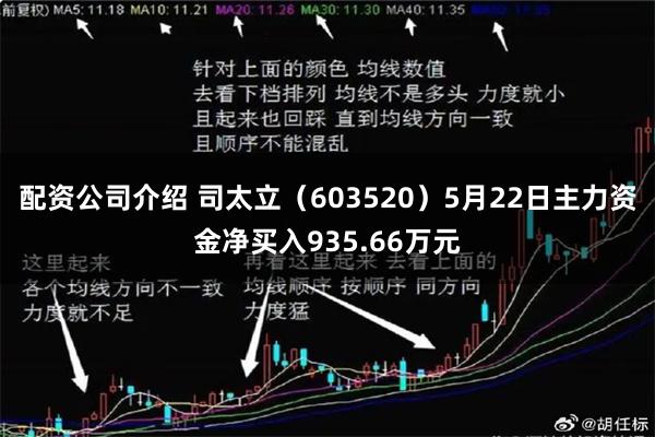 配资公司介绍 司太立（603520）5月22日主力资金净买入935.66万元