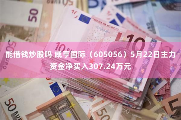 能借钱炒股吗 咸亨国际（605056）5月22日主力资金净买入307.24万元