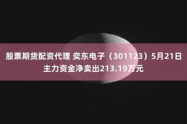 股票期货配资代理 奕东电子（301123）5月21日主力资金净卖出213.19万元