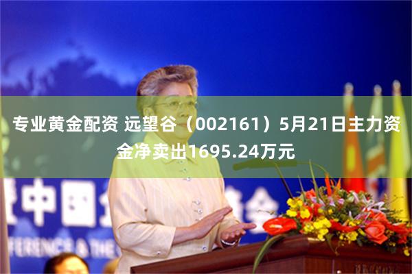 专业黄金配资 远望谷（002161）5月21日主力资金净卖出1695.24万元