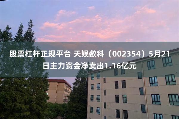 股票杠杆正规平台 天娱数科（002354）5月21日主力资金净卖出1.16亿元