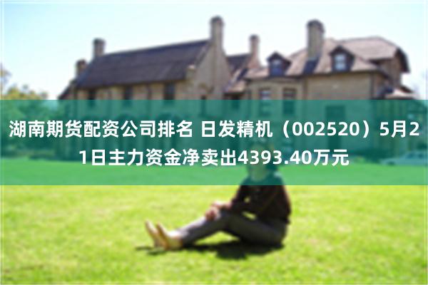 湖南期货配资公司排名 日发精机（002520）5月21日主力资金净卖出4393.40万元