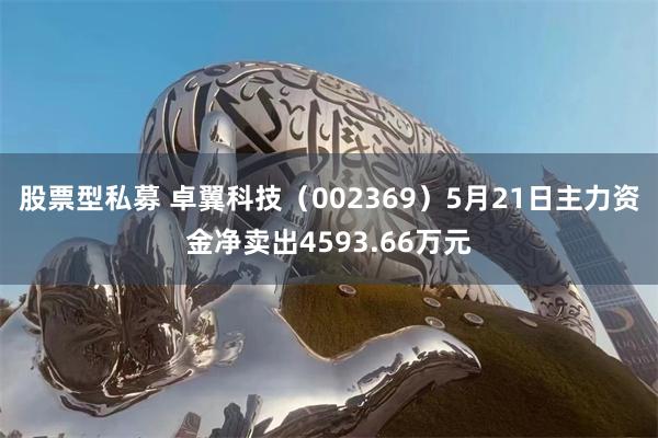 股票型私募 卓翼科技（002369）5月21日主力资金净卖出4593.66万元
