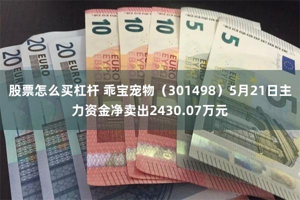 股票怎么买杠杆 乖宝宠物（301498）5月21日主力资金净卖出2430.07万元