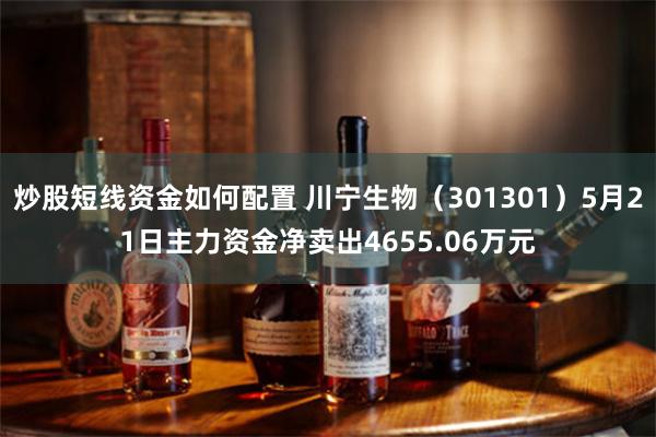 炒股短线资金如何配置 川宁生物（301301）5月21日主力资金净卖出4655.06万元