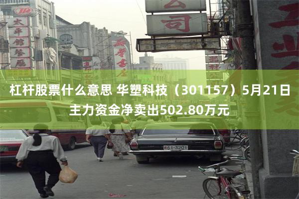 杠杆股票什么意思 华塑科技（301157）5月21日主力资金净卖出502.80万元