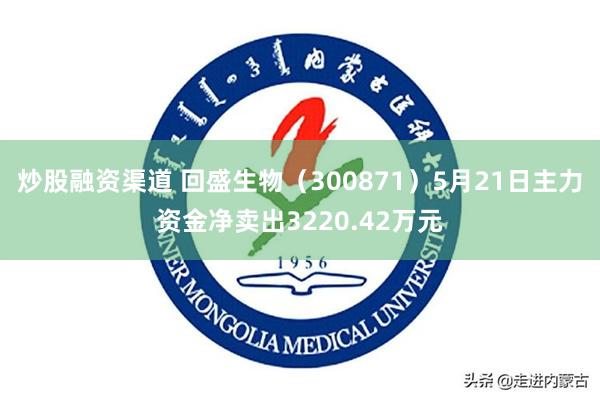 炒股融资渠道 回盛生物（300871）5月21日主力资金净卖出3220.42万元