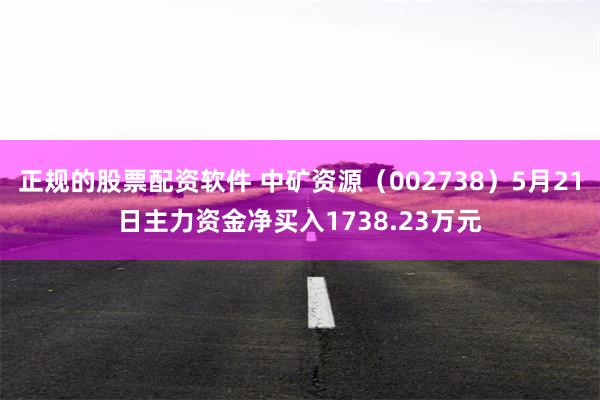 正规的股票配资软件 中矿资源（002738）5月21日主力资金净买入1738.23万元