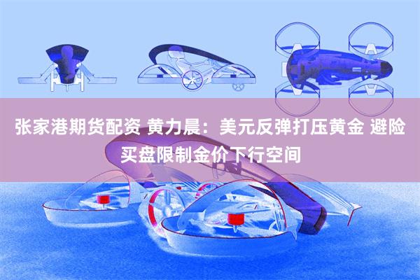 张家港期货配资 黄力晨：美元反弹打压黄金 避险买盘限制金价下行空间