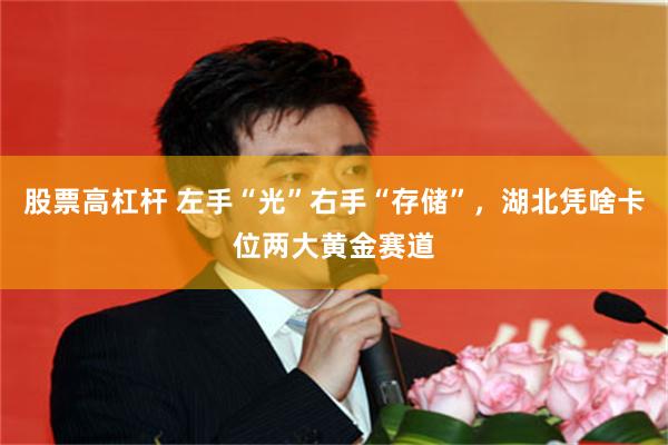 股票高杠杆 左手“光”右手“存储”，湖北凭啥卡位两大黄金赛道