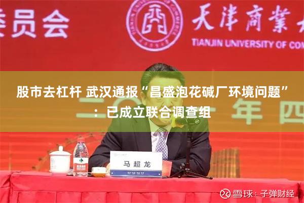 股市去杠杆 武汉通报“昌盛泡花碱厂环境问题”：已成立联合调查组