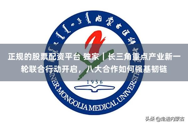 正规的股票配资平台 独家｜长三角重点产业新一轮联合行动开启，八大合作如何强基韧链
