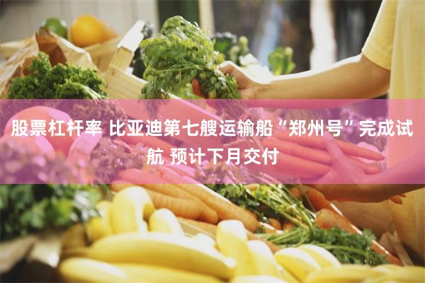 股票杠杆率 比亚迪第七艘运输船“郑州号”完成试航 预计下月交付