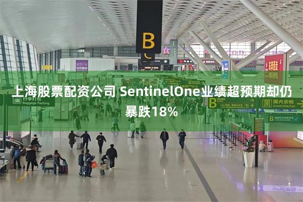 上海股票配资公司 SentinelOne业绩超预期却仍暴跌18%