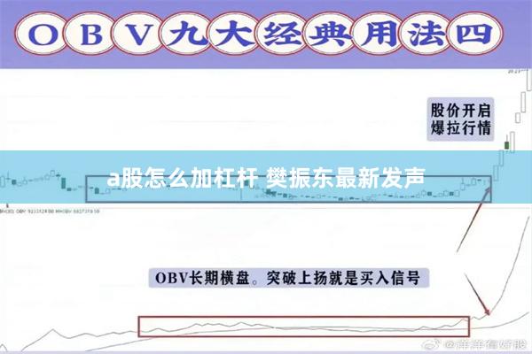 a股怎么加杠杆 樊振东最新发声
