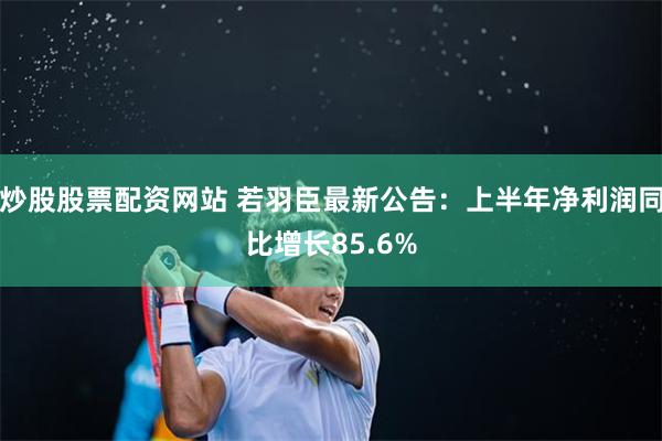 炒股股票配资网站 若羽臣最新公告：上半年净利润同比增长85.6%