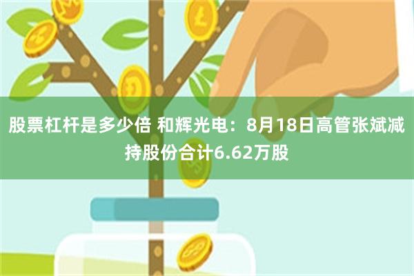 股票杠杆是多少倍 和辉光电：8月18日高管张斌减持股份合计6.62万股