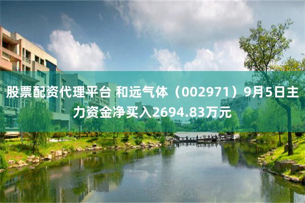股票配资代理平台 和远气体（002971）9月5日主力资金净买入2694.83万元
