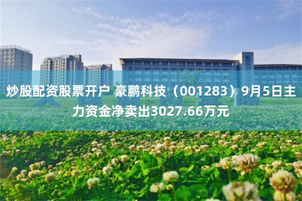 炒股配资股票开户 豪鹏科技（001283）9月5日主力资金净卖出3027.66万元