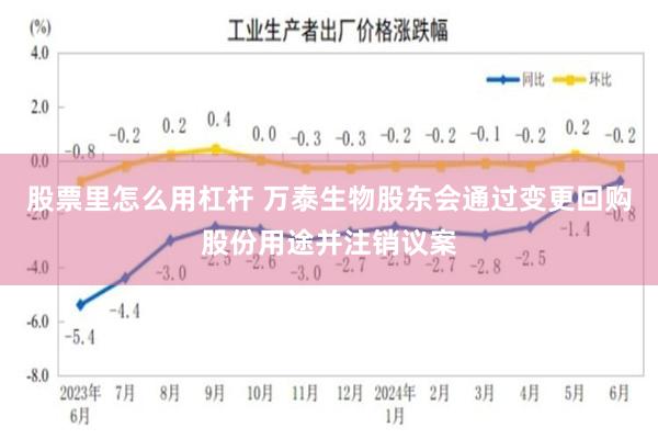 股票里怎么用杠杆 万泰生物股东会通过变更回购股份用途并注销议案