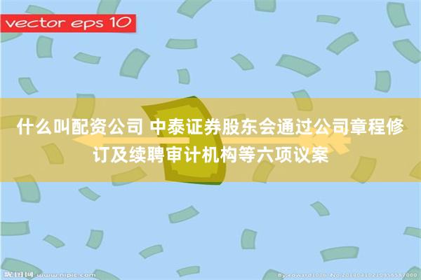 什么叫配资公司 中泰证券股东会通过公司章程修订及续聘审计机构等六项议案