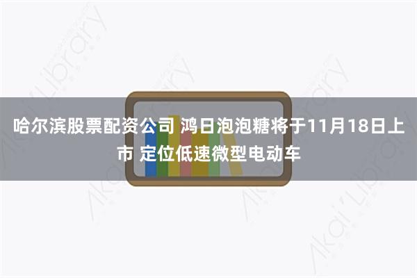 哈尔滨股票配资公司 鸿日泡泡糖将于11月18日上市 定位低速微型电动车