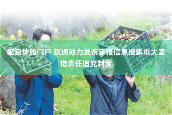 配资炒股门户 软通动力发布年报信息披露重大差错责任追究制度