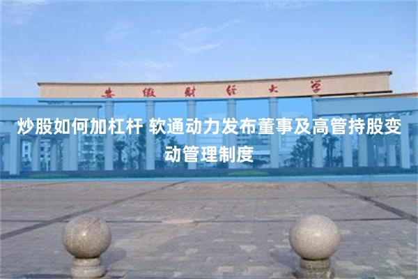 炒股如何加杠杆 软通动力发布董事及高管持股变动管理制度