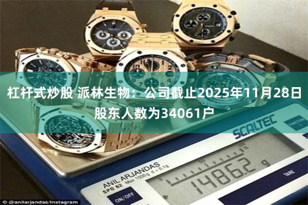 杠杆式炒股 派林生物：公司截止2025年11月28日股东人数为34061户
