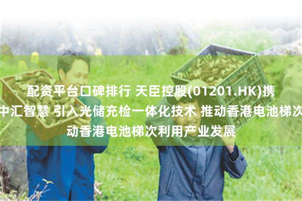配资平台口碑排行 天臣控股(01201.HK)携手时代星云及中汇智慧 引入光储充检一体化技术 推动香港电池梯次利用产业发展