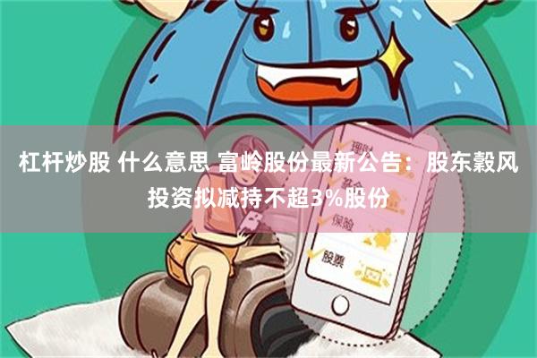 杠杆炒股 什么意思 富岭股份最新公告：股东穀风投资拟减持不超3%股份
