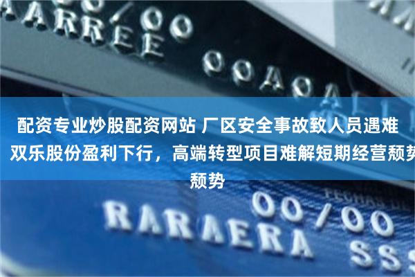 配资专业炒股配资网站 厂区安全事故致人员遇难，双乐股份盈利下行，高端转型项目难解短期经营颓势