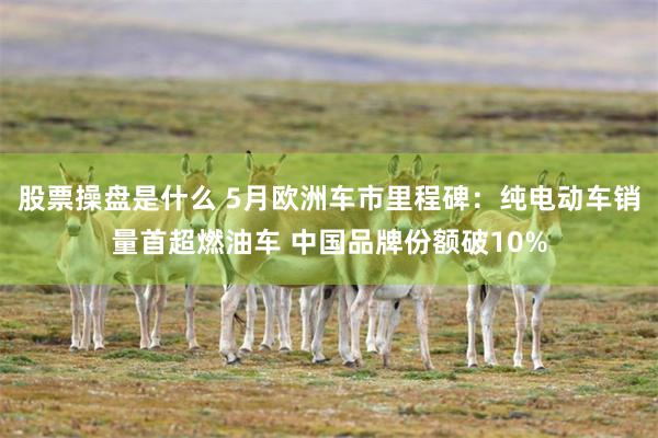 股票操盘是什么 5月欧洲车市里程碑：纯电动车销量首超燃油车 中国品牌份额破10%