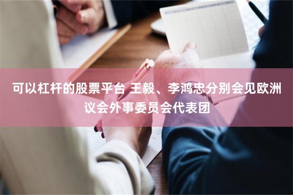 可以杠杆的股票平台 王毅、李鸿忠分别会见欧洲议会外事委员会代表团