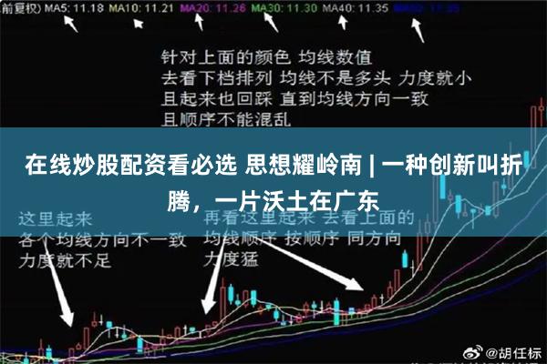 在线炒股配资看必选 思想耀岭南 | 一种创新叫折腾，一片沃土在广东