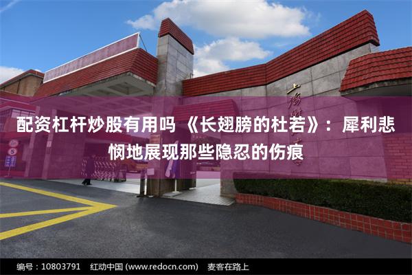 配资杠杆炒股有用吗 《长翅膀的杜若》：犀利悲悯地展现那些隐忍的伤痕