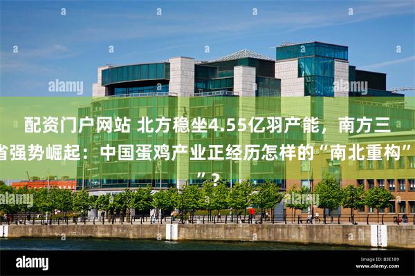 配资门户网站 北方稳坐4.55亿羽产能，南方三省强势崛起：中国蛋鸡产业正经历怎样的“南北重构”？