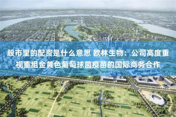 股市里的配资是什么意思 欧林生物：公司高度重视重组金黄色葡萄球菌疫苗的国际商务合作