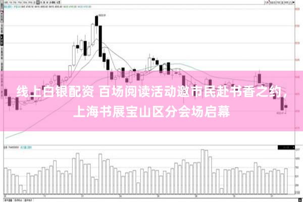 线上白银配资 百场阅读活动邀市民赴书香之约，上海书展宝山区分会场启幕